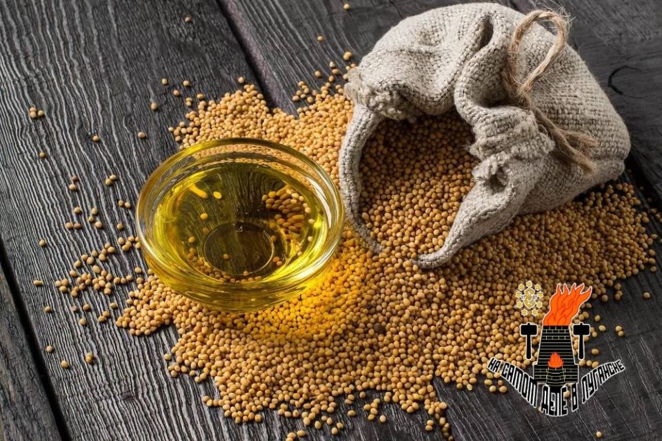 В Антраците построят новый горчичный завод