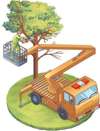 ���� ��������: �������, ��������, �������, ������������ ������� ���������� �� ���������� �������������� �������������� ������: ���� ����������?