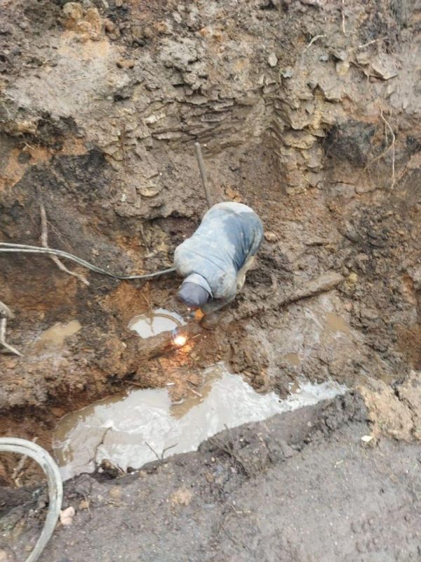 ������ ����������: � ������ �������� ��������-����������������� ������� �� ���������� ���� ����� �������� � ���� ������� ��� �������� ������������� ������������� �� �������� ������������� � �������������