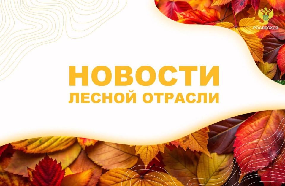 ������� ����: � ������ ������� ������� ������� ���������