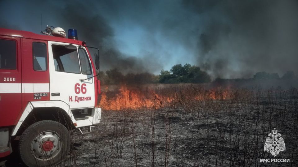 За сутки в ЛНР выгорело 116 гектаров территорий