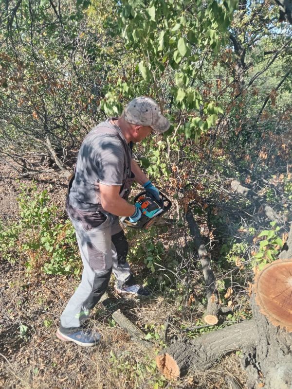 В посёлке Белое Лутугинского муниципального округа продолжается санитарная опиловка деревьев