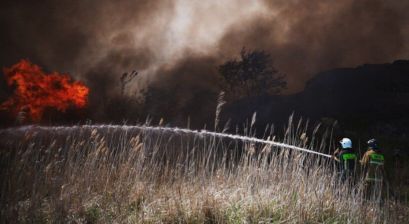 Чрезвычайная пожароопасность — 5-й класс — ожидается на территории ЛНР с 18 по 19 сентября