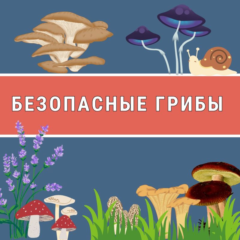 ��� ����� ������ ������, �� ����� ������� �������� �������� ������ ������� � ������� ����, � �� �������� �� ���������, ����� ������� � �������� ����������� ����� ������