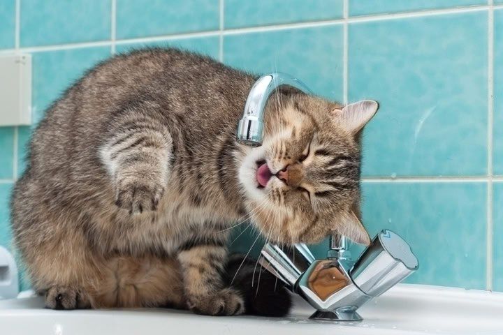 Государственное унитарное предприятие "Лугансквода" назвало адреса, по которым 18 сентября возможно прекращение подачи воды из-за ремонтных работ