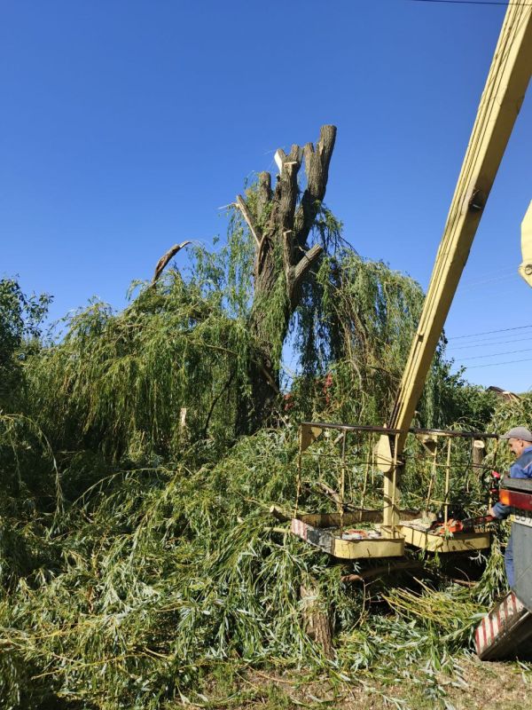 Владимир Чернев: Продолжаем работать по обращениями жителей по вопросам ЖКХ