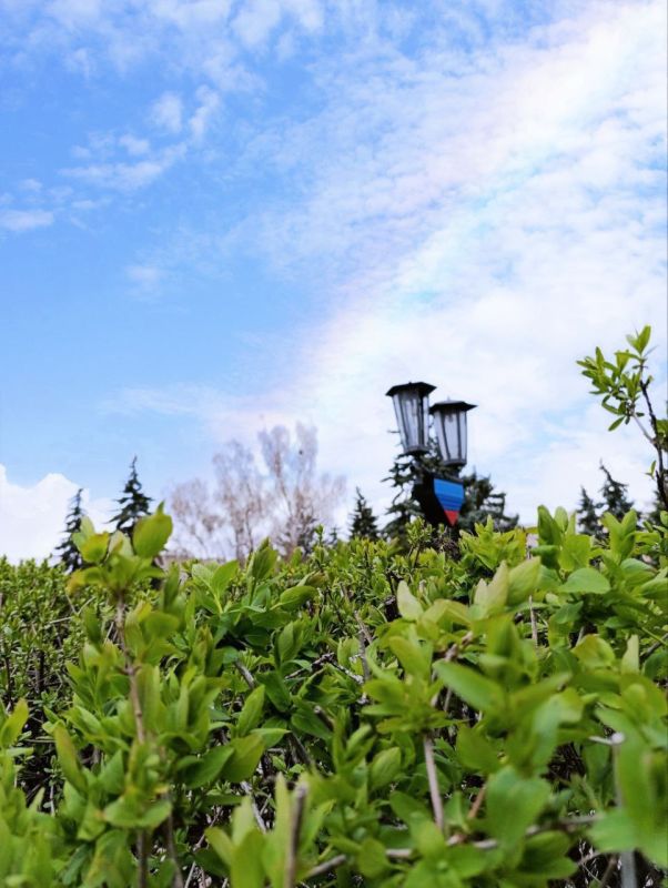 Доброе утро, кировчане!. Желаем вам хорошего дня и успехов во всех начинаниях! @agklnr #Кировск