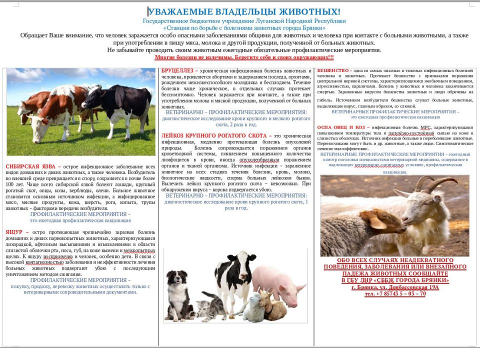 УВАЖАЕМЫЕ ВЛАДЕЛЬЦЫ ЖИВОТНЫХ!