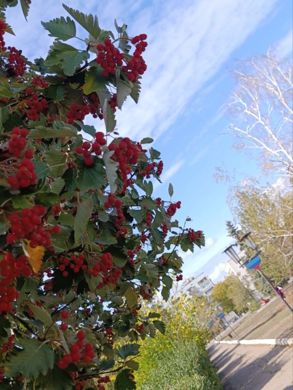 Доброе субботнее утро, кировчане!