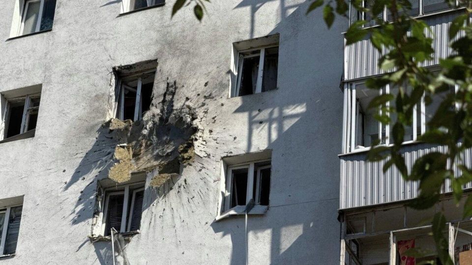 � ��� ���� ������ � �����������. ������ �������