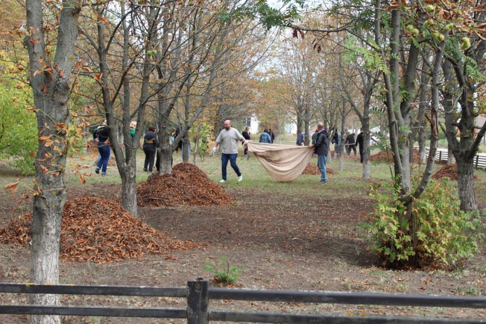 ���� ��������: �������� ���������� ��� ��������� ������������ ���� ������ ������� �������