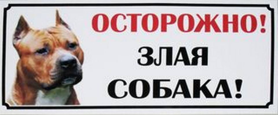 ���� �����: ����� � ��������� �������� ���������� ������� �����