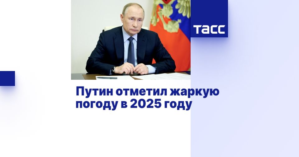      2025 