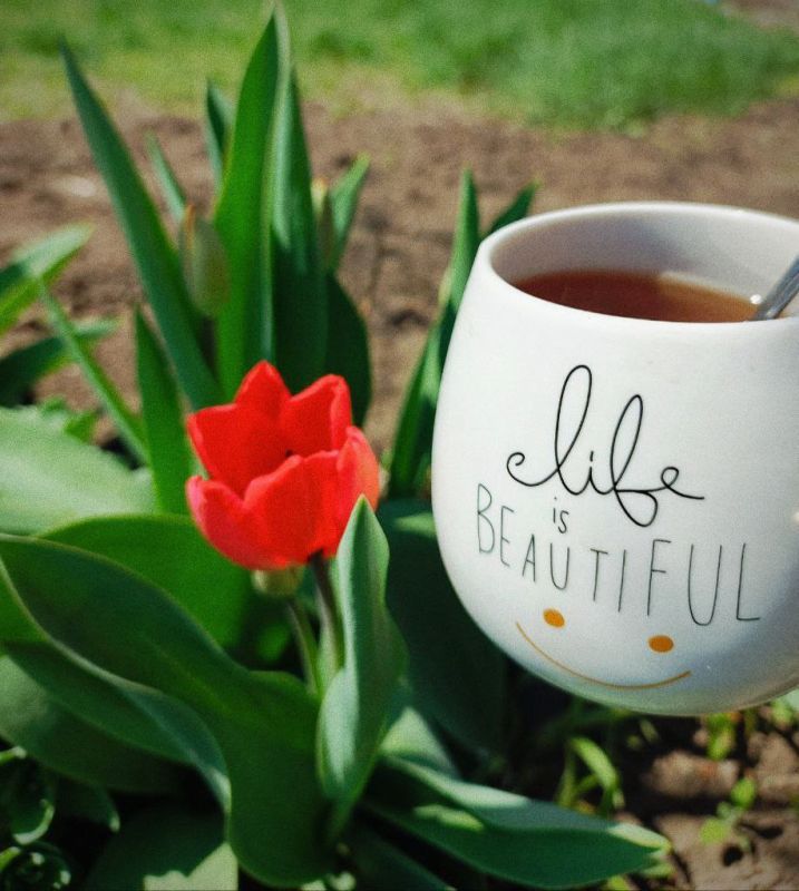 Доброе утро, кировчане!. Желаем вам хорошего настроения и отличного вторника! @agklnr #Кировск