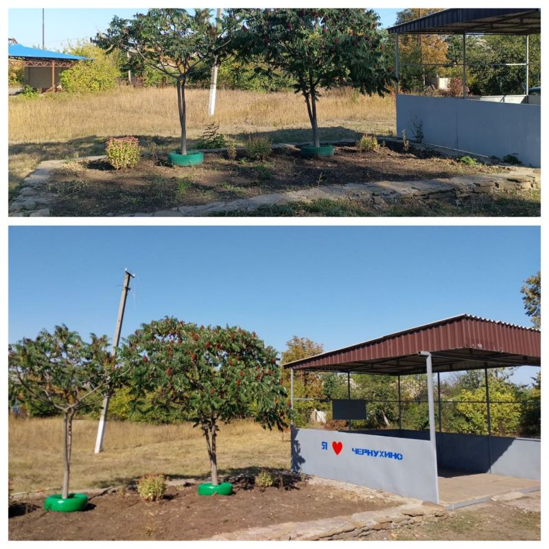 В Чернухино прошла экологическая акция "Зеленая Россия"