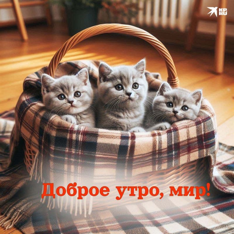 � ������ �����, ������������� �����!