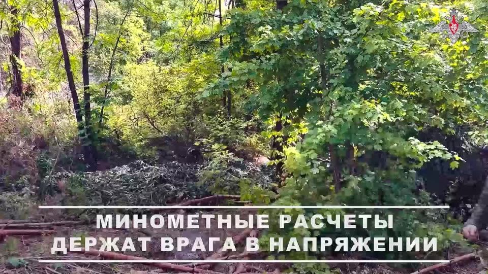 ������ 120-�� �������� 44-�� ���������� ������� ����������� ������ ��������� ��������� ����� ���� � ������������������ ������� ���������� � ���� ���