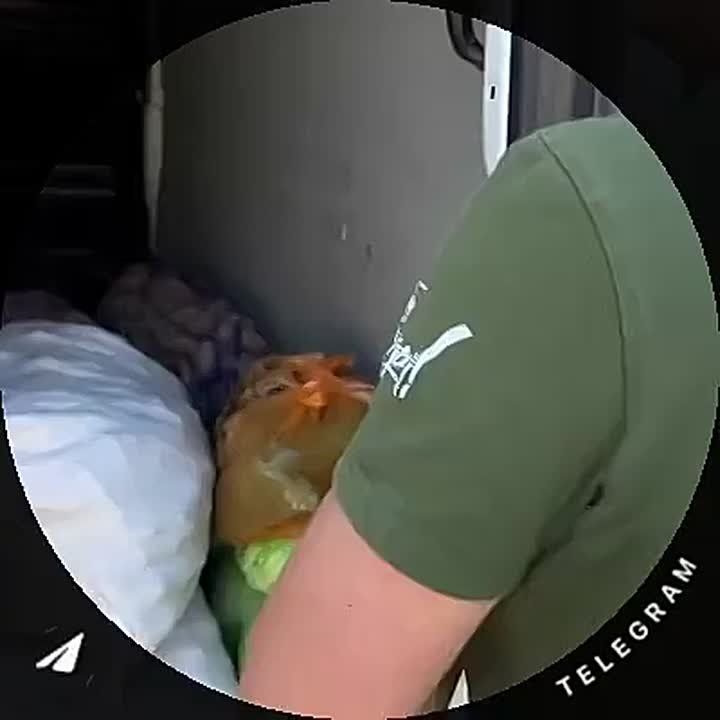 ������� ����� ��������� ������ ���������� � ��������!