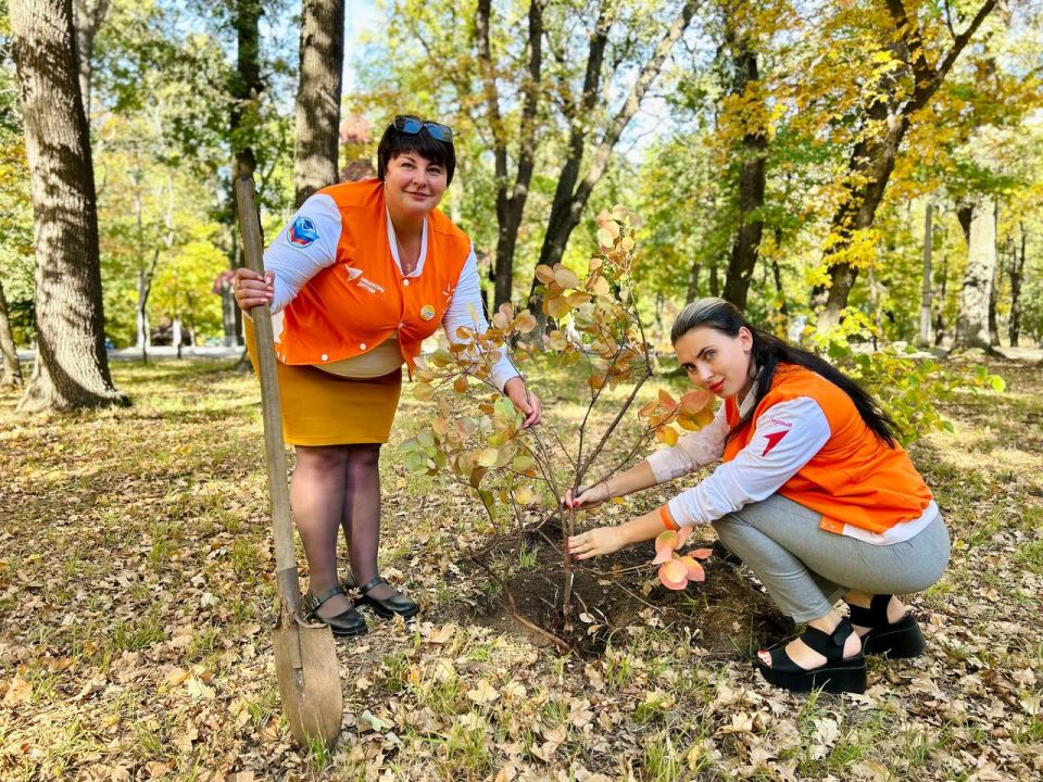 Андрей Рубанцов: В Ровеньках провели акцию «Дерево единства»