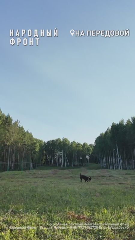 Его зовут Егор, но на ЛБС его знают по позывному "Горыныч"
