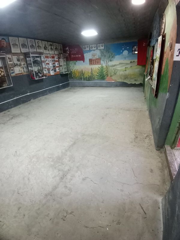 Рабочая группа шефа-региона Удмуртской Республики оказывает помощь в ремонте музейной комнаты Лутугинской средней школы №2