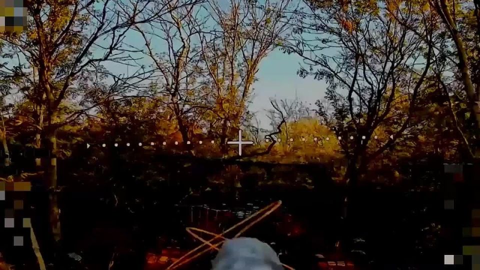 ��������� ���� ����� ����������� ����� ���������� ���� � ����������� �������� ��������