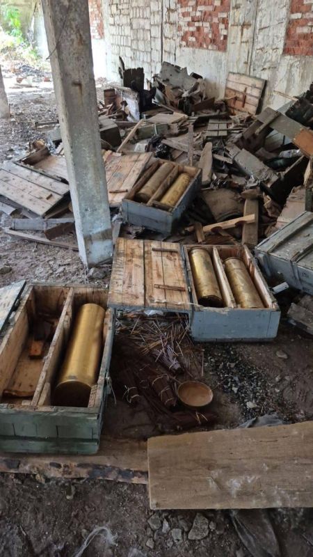 В Перевальском округе 29-летний мужчина обнаружил схрон, откуда полицейские изъяли большое количество иностранных боеприпасов, сообщили в МВД РФ по ЛНР