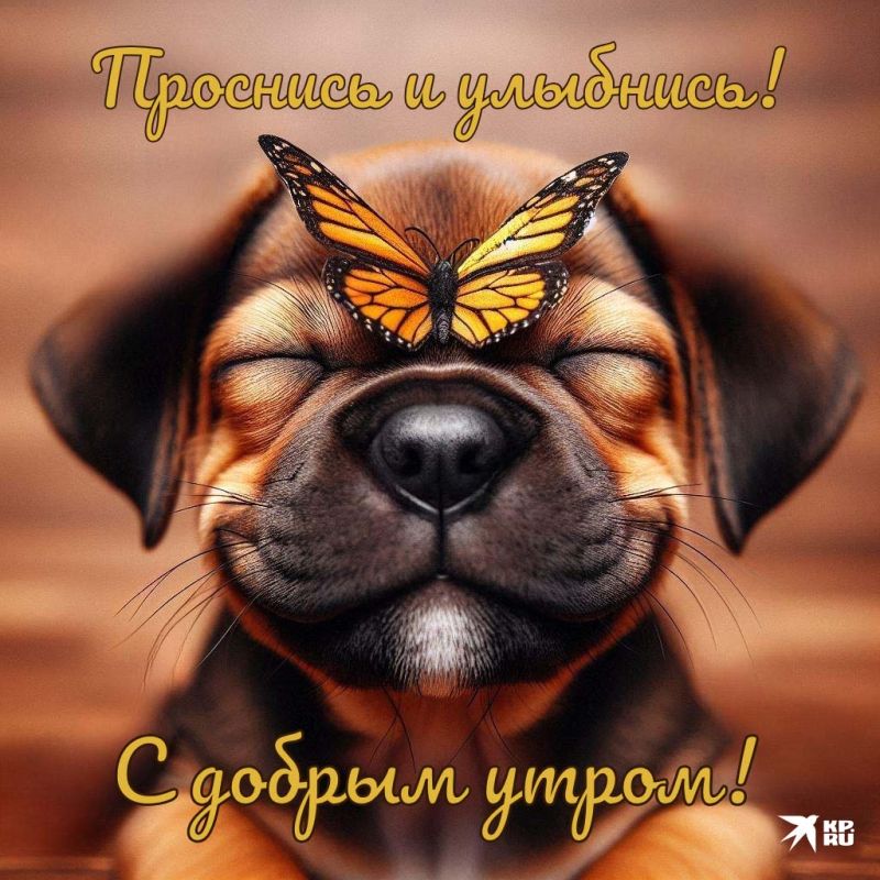 � ������ �����, ������������� �����!