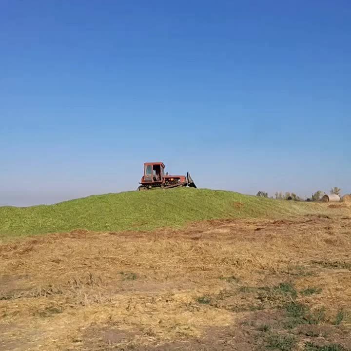 Сельскохозяйственные предприятия Старобельского муниципального округа завершают подготовку кормовой базы на осенне-зимний период