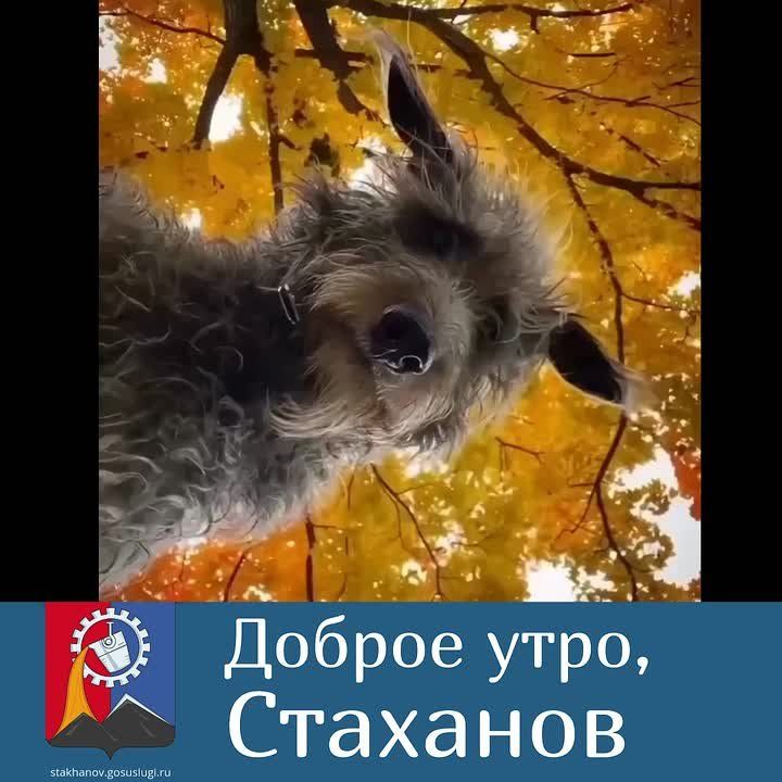 ������ ����, ��������!. ������� ��������� ���� �����