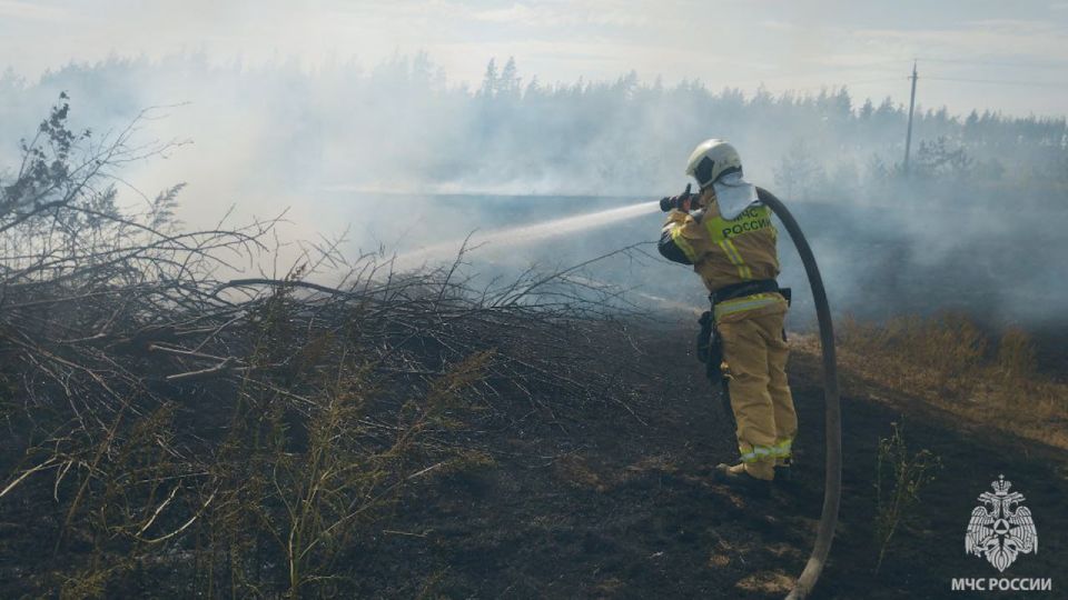 Количество сухотравных пожаров не снижается несмотря на осадки