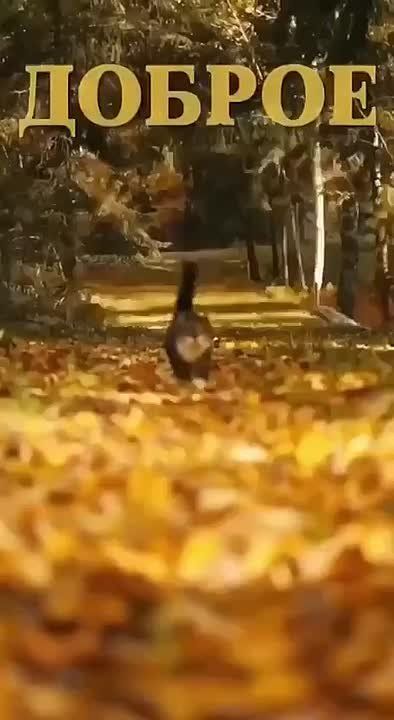 � ������ ����� ������������� �����! �������� ������ � �������� ���!
