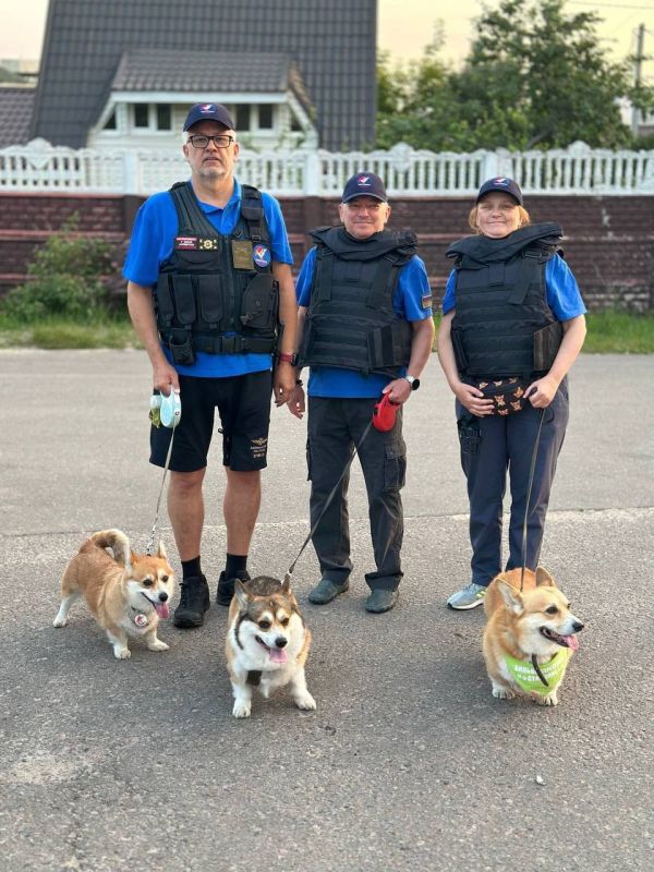 ���� �����: ��������� �������� ���������� �������� ������� ����� - ����� ����� ������� � �������