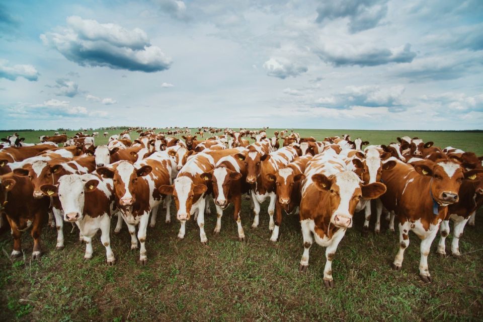 � 2026 ���� ������� ��� ������� ������ �������� ������������ �� ��������� ��������������