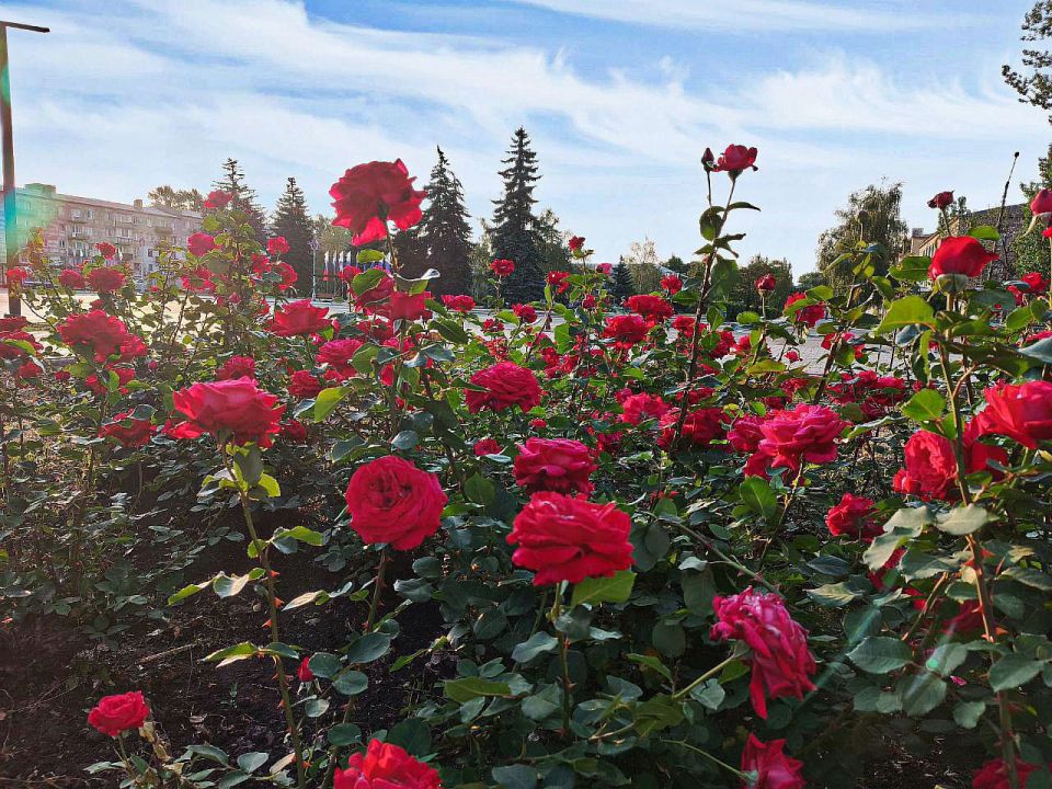 С добрым утром!. Пусть оно начнётся с чего-то радостного и прекрасного