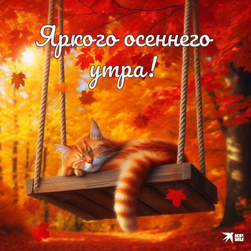 � ������ �����, ������������� �����!