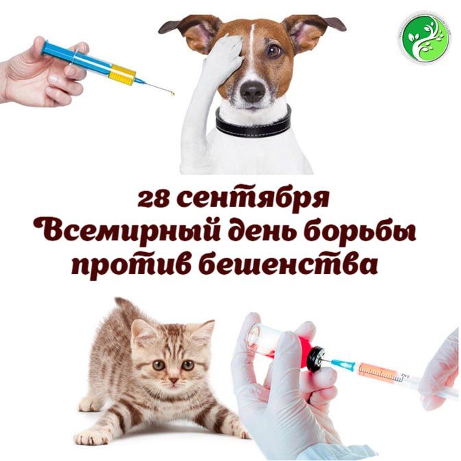 ���������� �������� �� ��������� � ��� ����� ������� � ����������� ������ �������� ������ ������� � ���� ����� �� ���� ���������� ������� �������