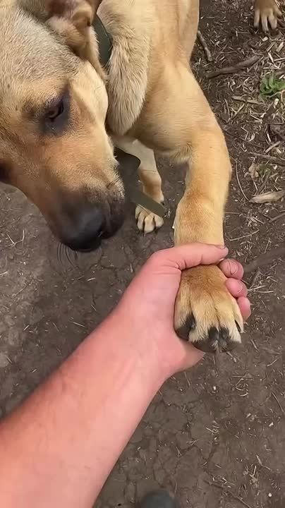�� ������ ������ � ������ �������� ������!