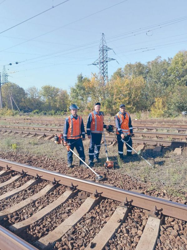 В третье воскресенье сентября коллективы дистанций защитных лесонасаждений отметили свой профессиональный праздник