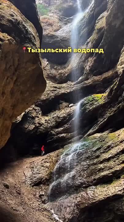 ������� �����-��. ���������-�������� ������ ��������