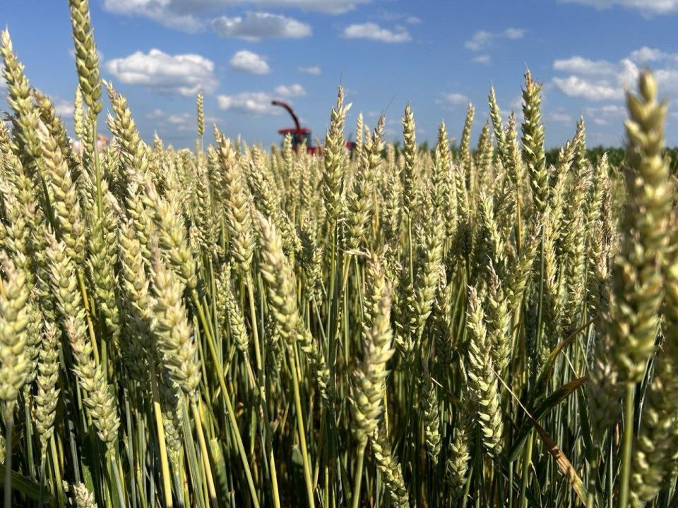 Брянская область и ЛНР налаживают партнёрство в агросекторе