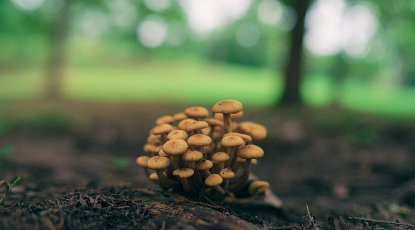 ����������� ��� �������? ������� �������� ����� � ����� � �������� ����� ������