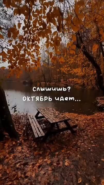 ������ � ������ ���� ������������� �����!