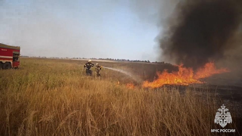 Андрей Рубанцов: Количество ландшафтных пожаров в ЛНР не уменьшается