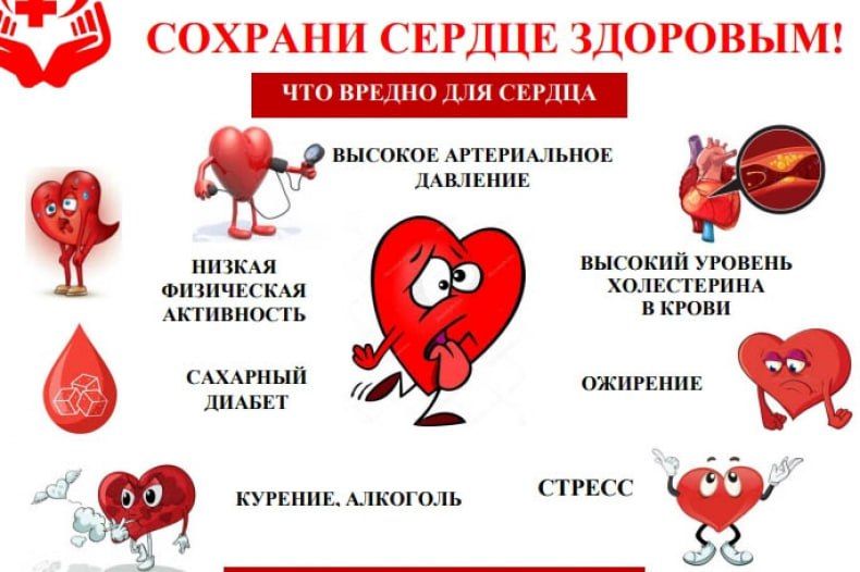 ������������ ��������: 29.09 � 5.10.2025�. - ������ �������������� ��������� � ������