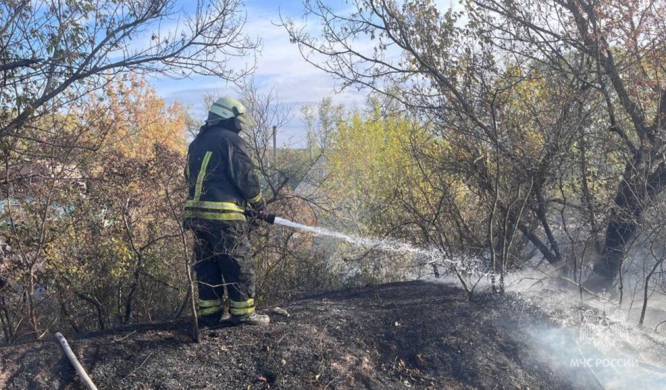 Сентябрь позади, но ландшафтных пожаров не становится меньше - ГУ МЧС России по Луганской Народной Республике