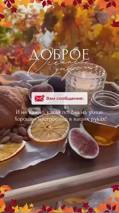 � ������ ����� ������������� �����! ������ � ����������� ���� �������!