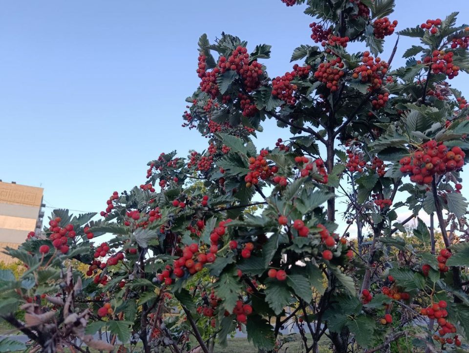 С добрым утром,кировчане!. Пусть Ваш день будет продуктивным, интересным и полным новых открытий