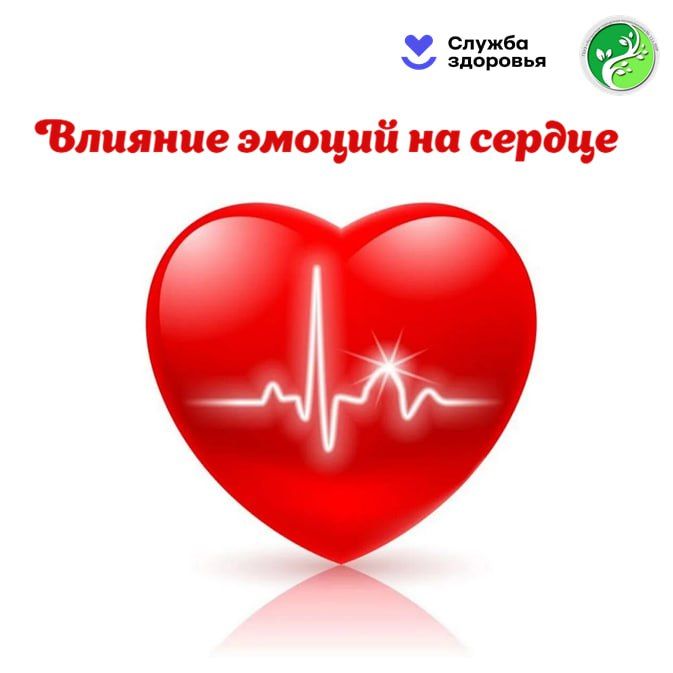 ������ ��������� ������������ ������� �� ��������� ������ � �������, ������ ��� �������������, ��� � ������������� ������� ����� ������ �� ������ ��������-���������� �������