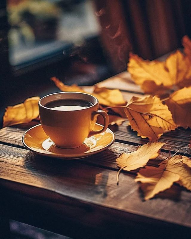 Доброе утро, Алчевск!. Сегодня День пожилых людей и Всемирный день музыки